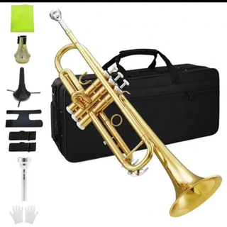アルトサックス11点セット E Saxophone ゴールドラッ...
