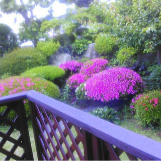 お庭の事や部屋のクロス貼りなどなんでもやります！！
