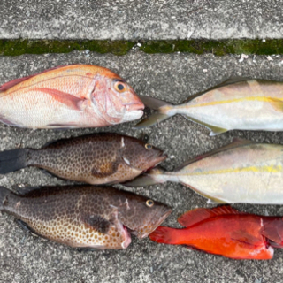 釣りメンバー募集、リフレッシュオープン - 友達