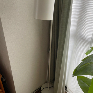 間接照明　ニトリで購入