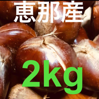恵那  栗 2L 2㎏  無農薬