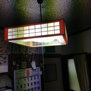 蛍光灯傘