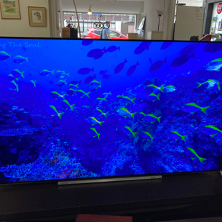 【??ジャックさん一推し‼️??】TOSHIBA 東芝 有機ELテレビ REGZA レグザ 55X920 55v型 2019年製