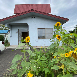 出ました㊙️激安貸家5DK‼️ 頭金無し入居オッケー‼️安心大家直接契約 - 砂川市