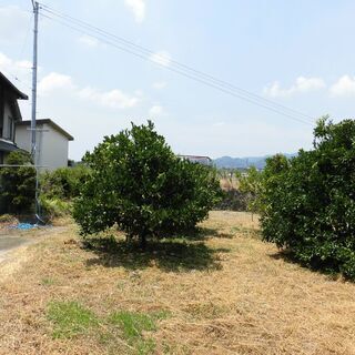 紀ノ川の見える田舎暮らし物件 − 和歌山県