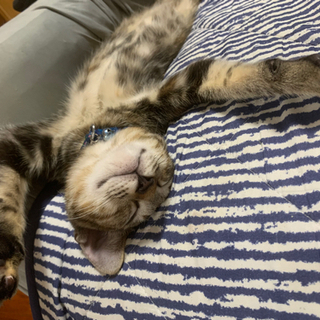 終了しました！ − 沖縄県