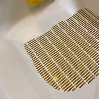 猫トイレの画像