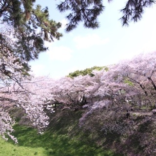 ✨🌈🌸同年代の友達募集🌸🌈✨