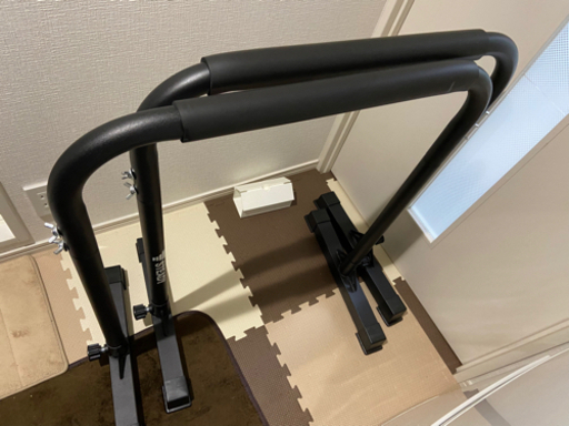 ディップススタンド　耐荷重150kg ディップスバー STEADY (ステディ)