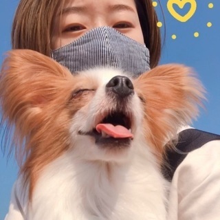 現役トリマーですがなんか聞きたいことある？ - 東大阪市