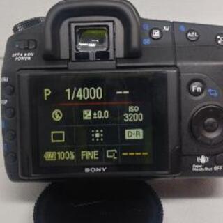 SONY/ソニー α300の画像