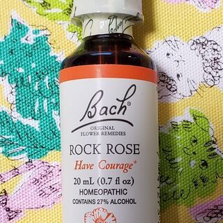 バッチフラワーレメディ「ロックローズ」