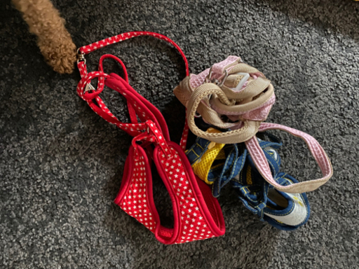 ペット用品Ｎｏ．2