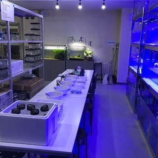 利用者様募集!!【生体管理・飼育作業】就労継続支援B型事業所