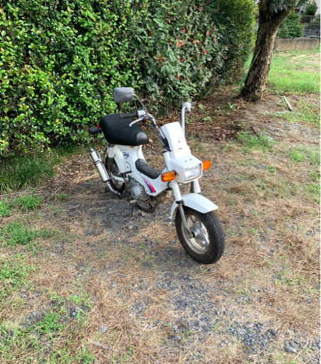ホンダ　シャリー　CF50 12V  原付　バイク　50cc  車体