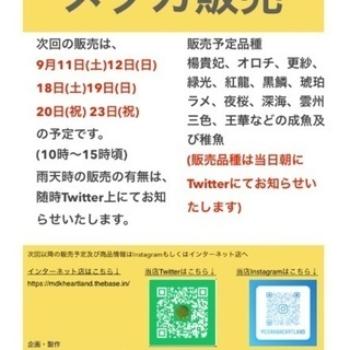 メダカ販売(週末限定)9月度予定