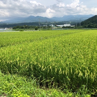 お手伝いします