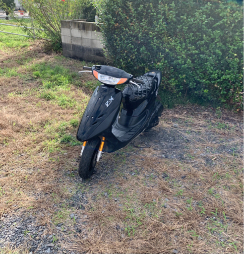 ホンダ　ライブディオZX  原付　バイク　50cc  車体
