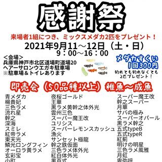 第3回ネバーめだか屋感謝祭！9月11～12日の土日！第3回ネバー...