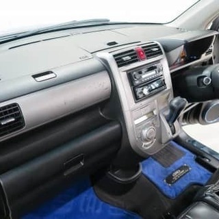 青と黒の共存共栄の画像