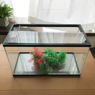 中古　水槽①  