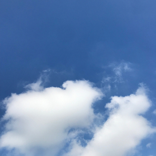 素敵な仲間募集