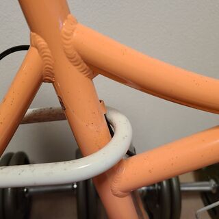 BIANCHI PISA FAMILY ミニベロ・小径車 2013年モデル ピンクの画像