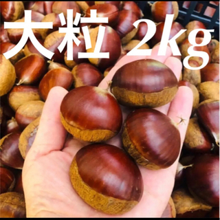 4cm以上の大粒入り 栗 3L 2kg 無農薬