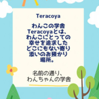 犬の学舎　わんこファーストの画像
