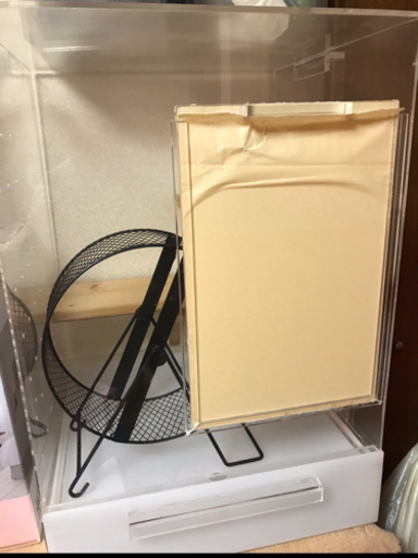 フクロモモンガ　ゲージ❗️特中品