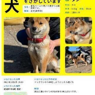 大分県速見郡日出町で行方不明のまま9ヶ月…