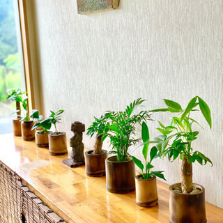 今が旬！おしゃれで温かみのある竹でできたポット作り体験　（真竹ハンドメイド）　常総市の画像