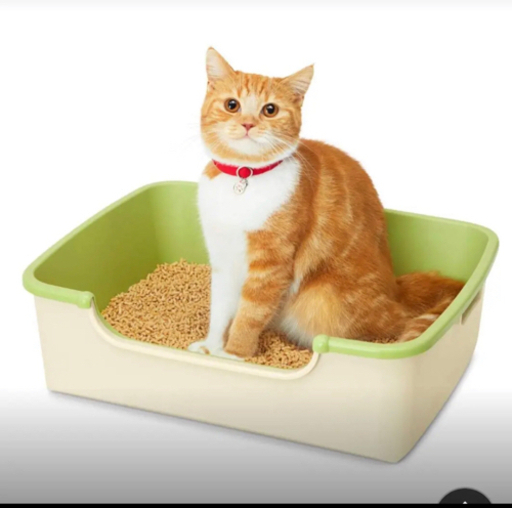 猫トイレ