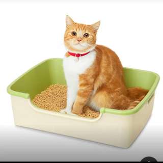猫トイレ