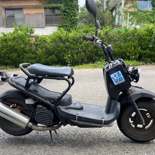 ズーマーの画像