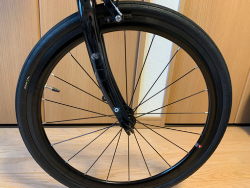 DAHON (ダホン) visc evo マッドブラック　室内保管