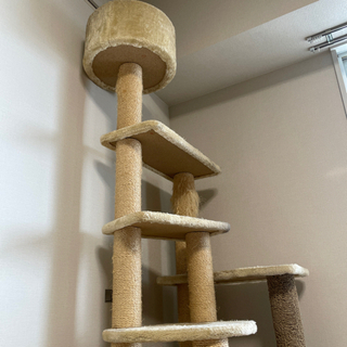 キャットタワー　cat tower 定価約3万円の画像