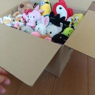 ぬいぐるみ 大量の画像