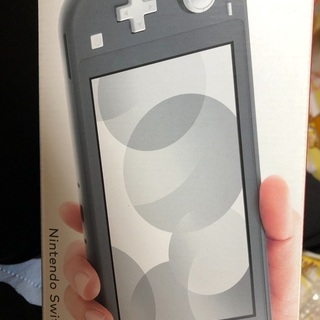 任天堂Switch light グレート