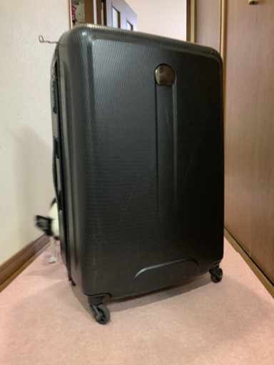 お値下げ！！DELSEY ブラック　スーツケース