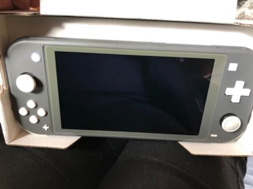 任天堂Switch light グレート