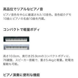 ヤマハ　値下げ交渉可　ポータブルグランド　NP30【椅子・ヘッドフォン・ペダル付き】の画像