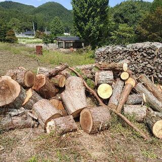 ★配達無料エリアあり　杉　薪わり済　100キロ単位　　