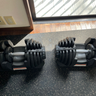 [取引中]Bowflex5.1アジャストベンチ, 可変式ダンベル40kg✖️2, 防音マットの画像