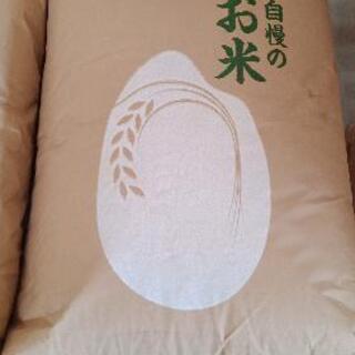 令和３年産　まっしぐら　30キロ　玄米