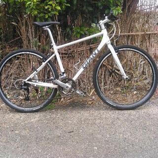 GIANT GRAVIER  S