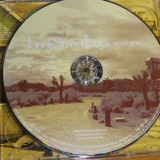 Never Gone   Backstreet Boys      バックストリート・ボーイズ   ネヴァー・ゴーン デラックス・エディション(DVD付) の画像