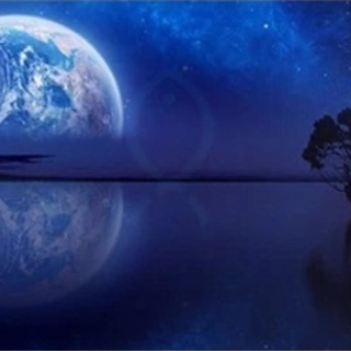 水槽用バックスクリーン　アクアリウム　水槽用背景　大型水槽　長さ...