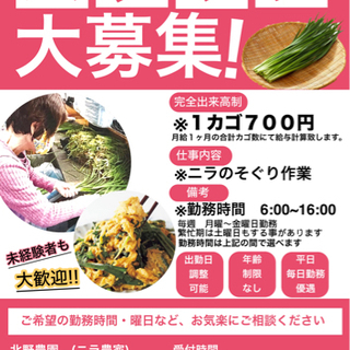 再募集【益城】ニラの皮むきスタッフ募集の画像