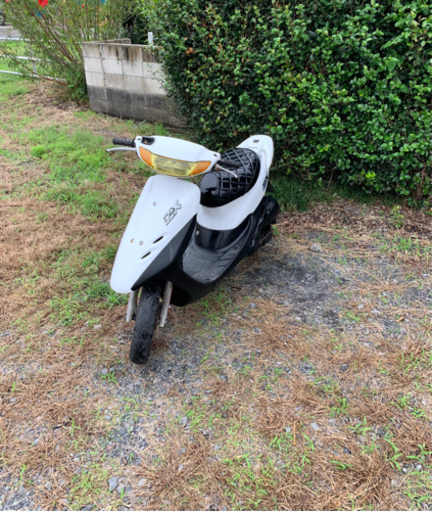 ホンダ　ライブディオZX  原付　バイク　50cc  車体